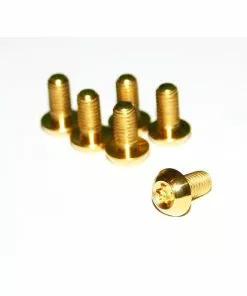 BBP, Titanschraube, TI6AL4V, M5x10 Torx 25, 1,15g, Gold