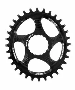 Blackspire, Snaggletooth Oval, Raceface Cinch 32 Zahn