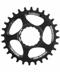 Blackspire, Snaggletooth, Raceface Cinch Boost 28 Zahn